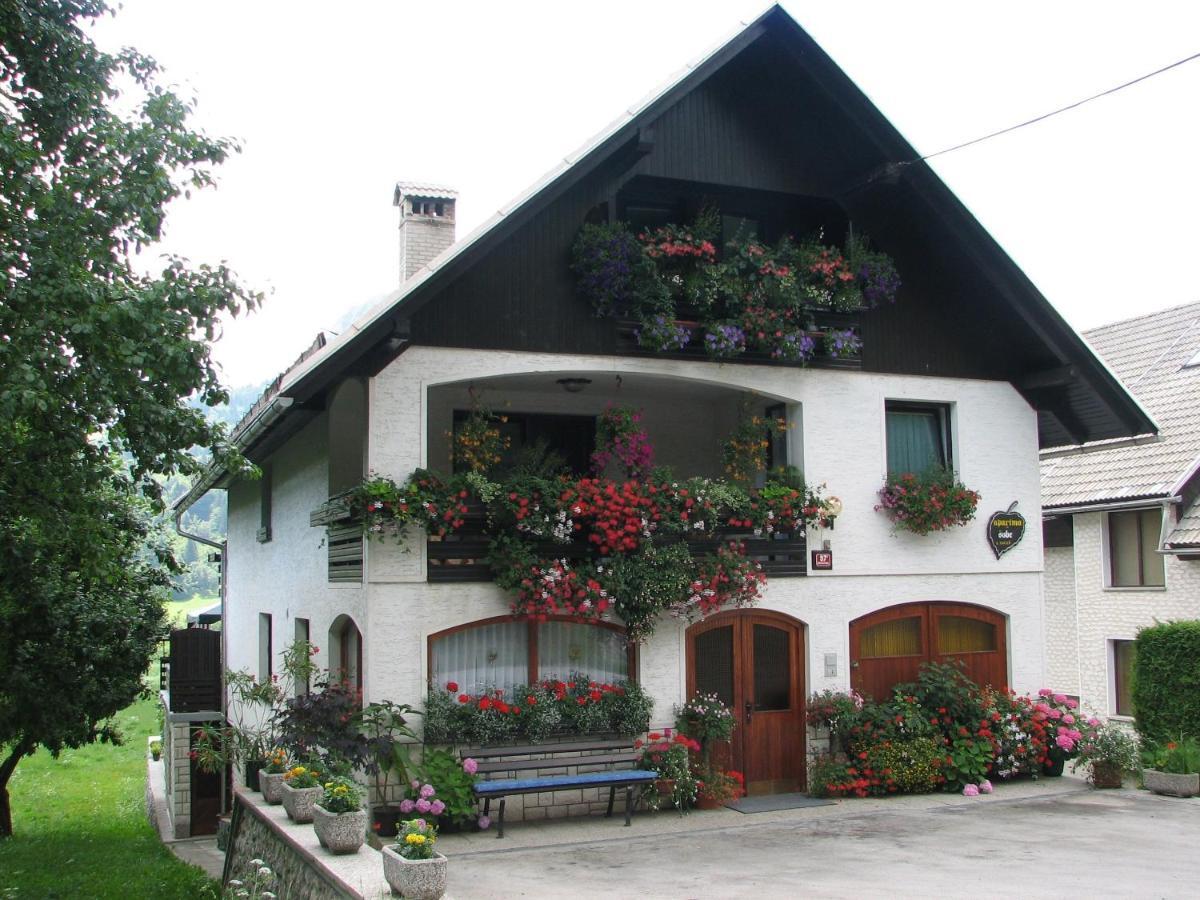 2 Studio & Apartment Cvetek Bohinj Εξωτερικό φωτογραφία
